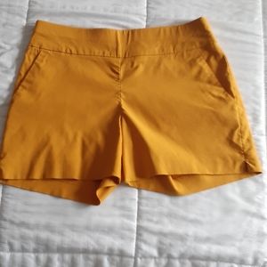 7th avenir design studio shorts